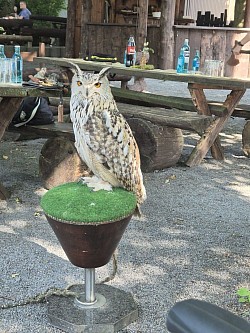 Ein besonderer Gast vom Brautpaar